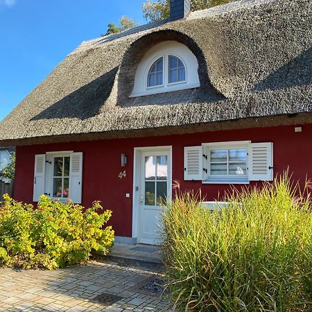 Ferienhaus Greta โกลเวอ ภายนอก รูปภาพ