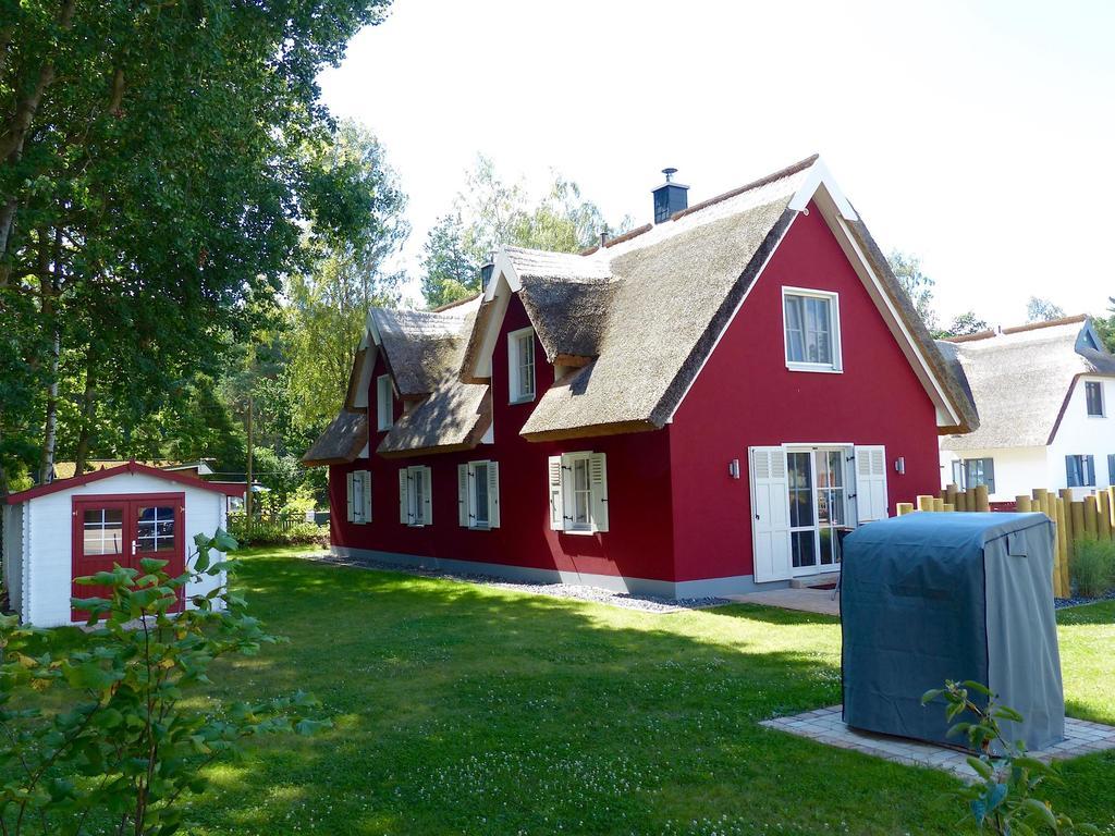 Ferienhaus Greta โกลเวอ ภายนอก รูปภาพ